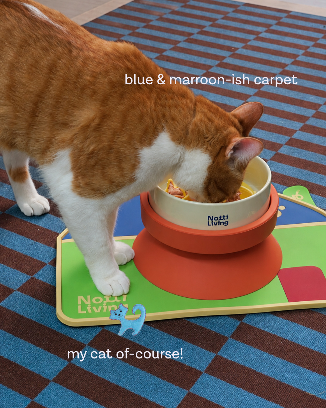 Slide showing a ginger and white cat eating from a pet bowl on a green mat over a blue and maroon checkered carpet (slide 2 of 4)